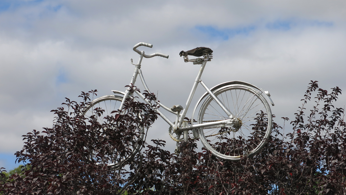 Er groeit een fiets in de bomen...
