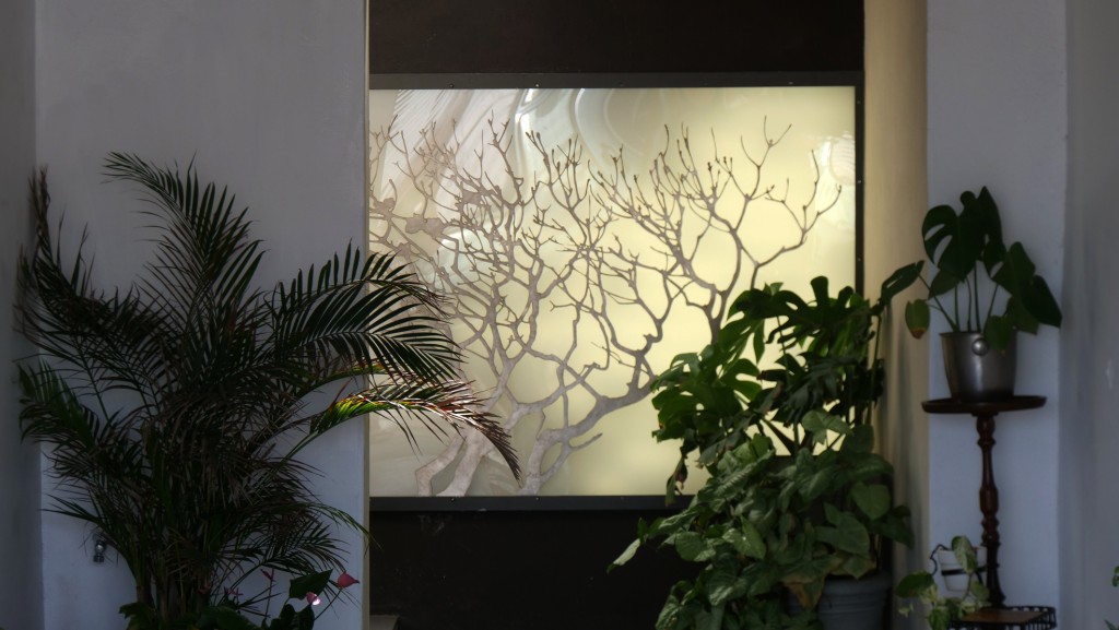 P1022773